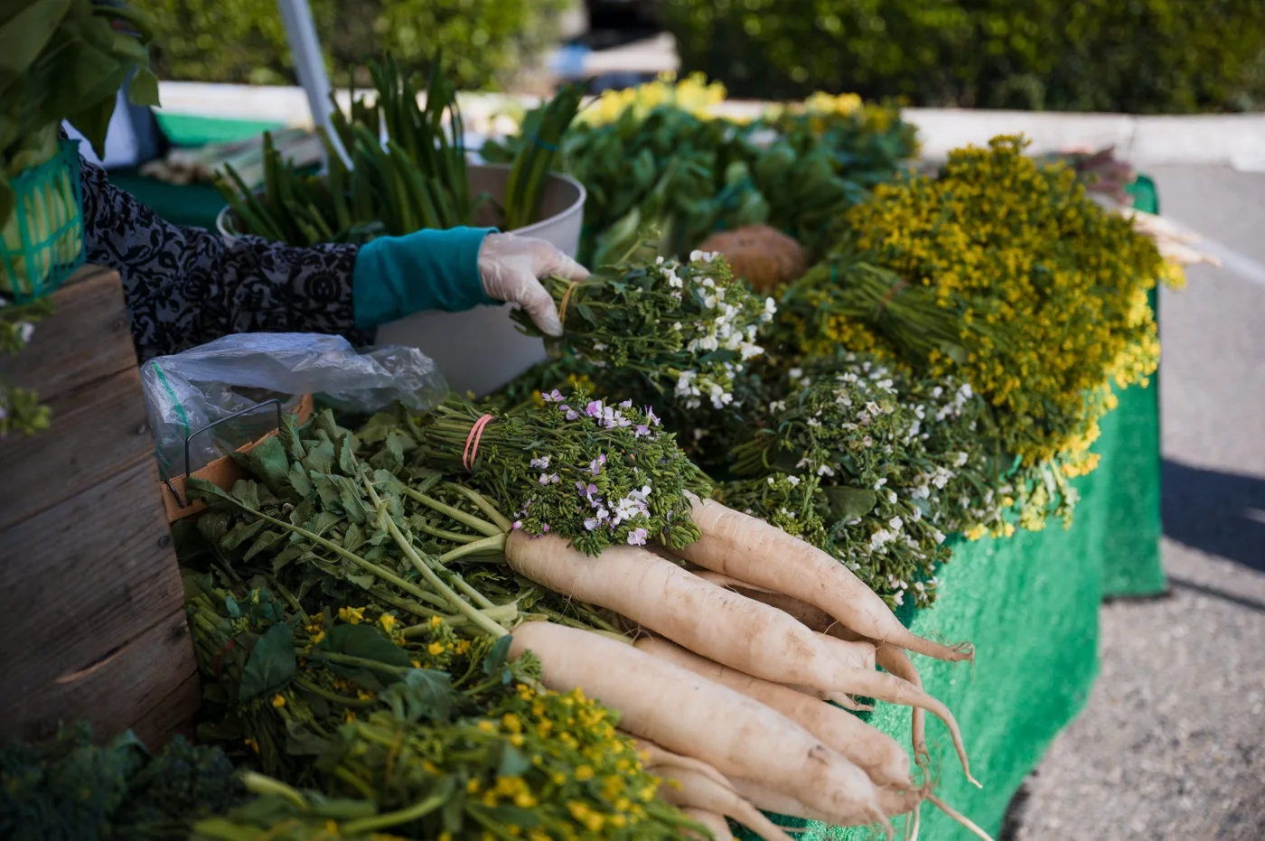 Visalia Farmers' Market business photo
